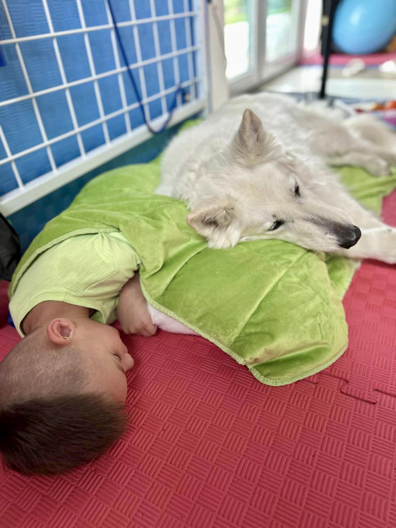 Fyzio, Snoezelen, Senzorická inegrácia