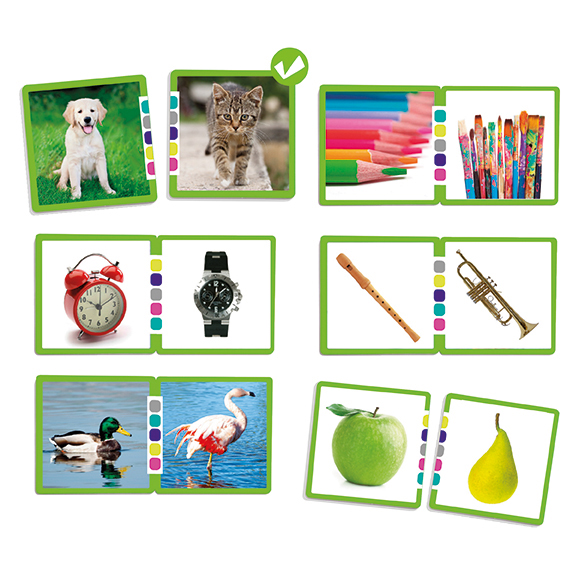 Čo majú spoločné? (9x9cm)