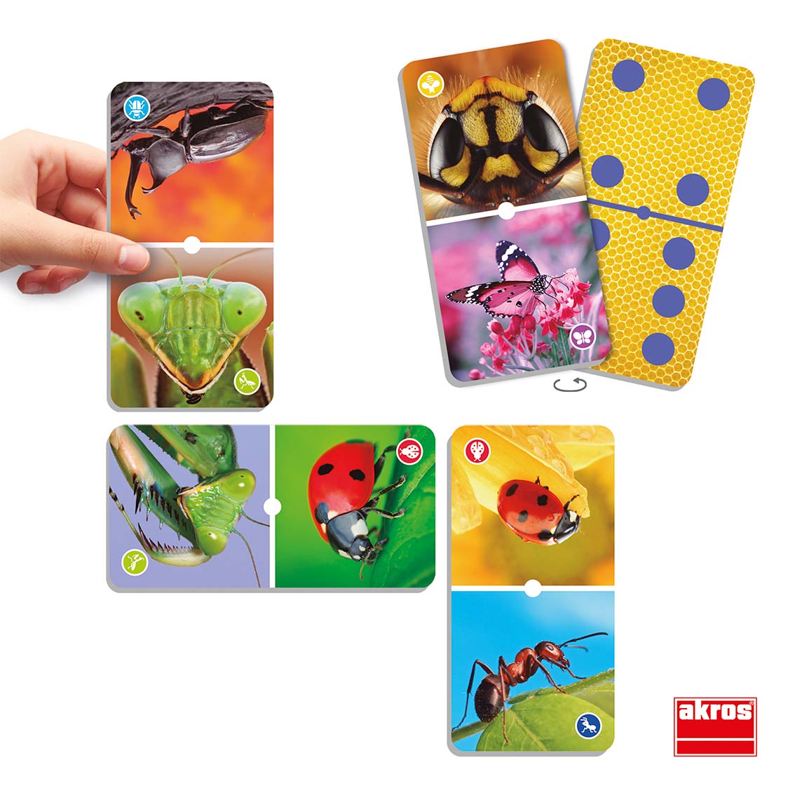 Domino - Svet hmyzov