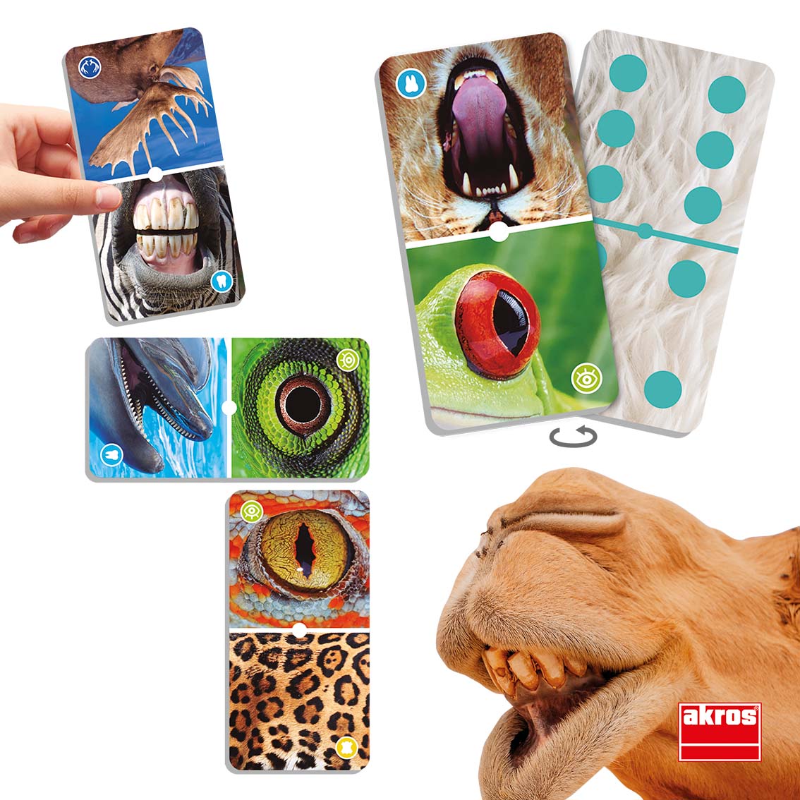 Domino - Zoom zvierat