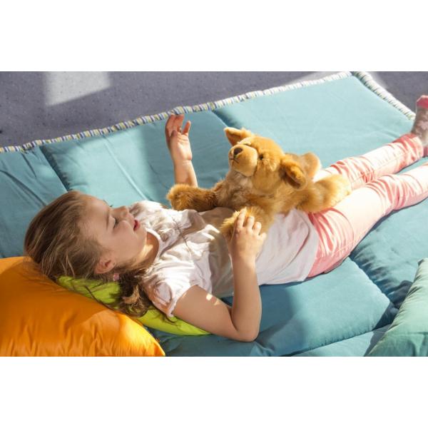 Terapeutický psík JOYK