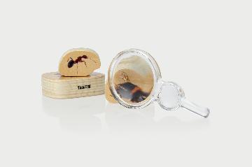 Školská sada lúp a optických šošoviek – 35-dielna triedna súprava v úložnom boxe