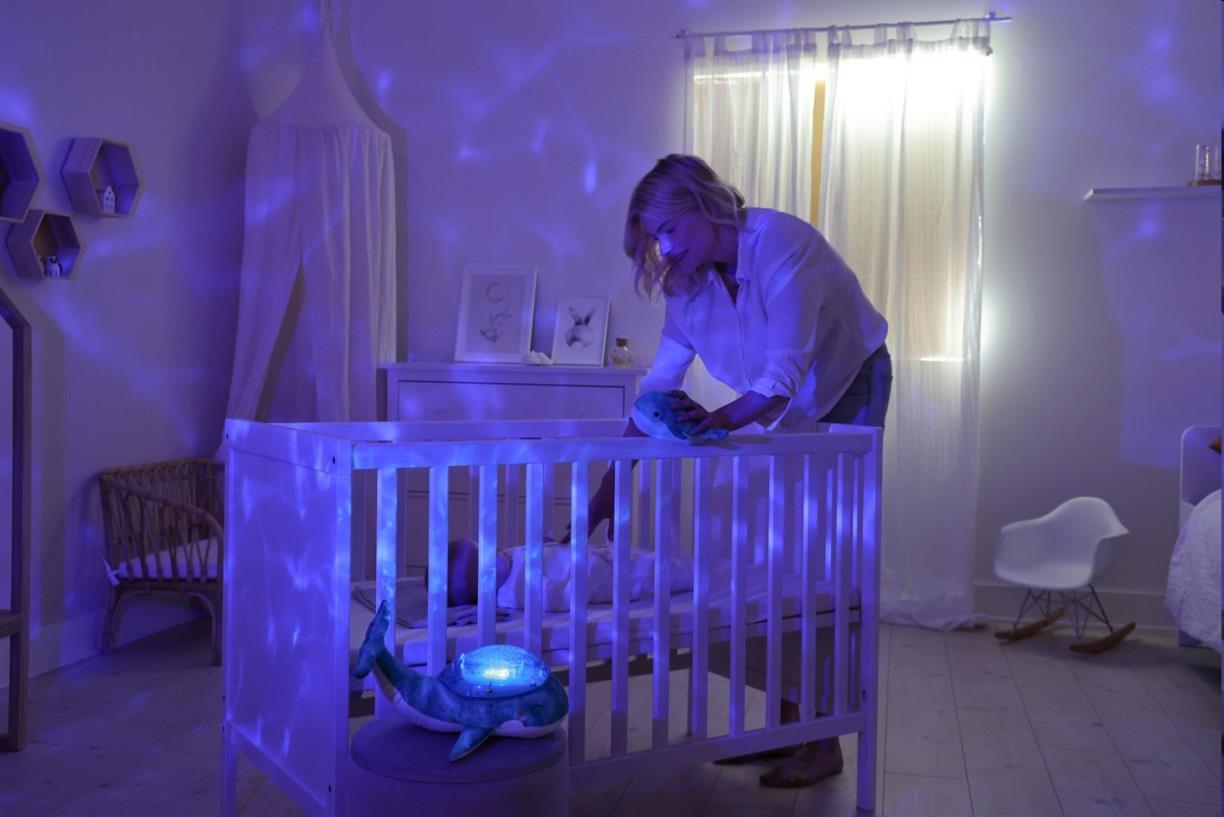 Projektor - Rodina veľrýb