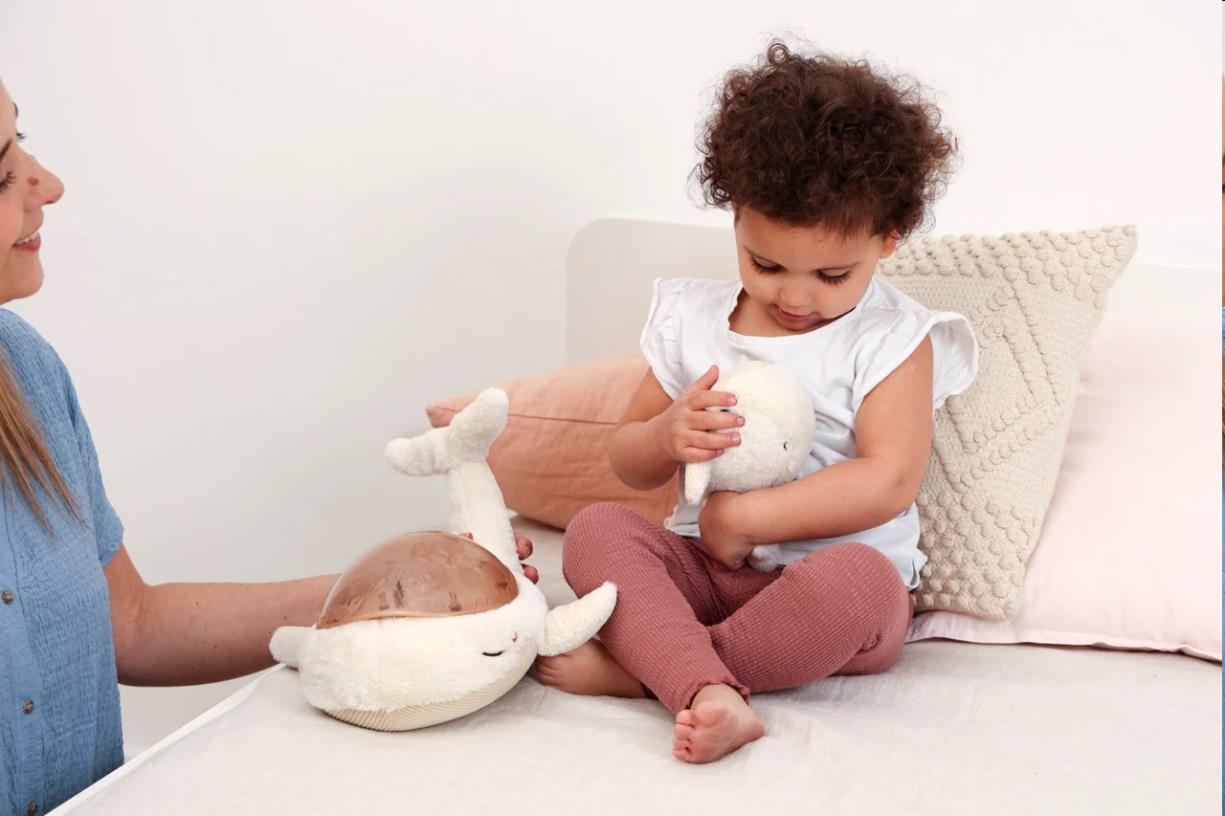 Projektor -  Rodina veľrýb