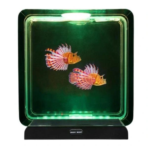 Akvárium s  rybičkami