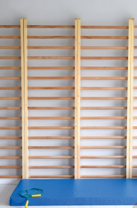 Malá gymnastická rebrina