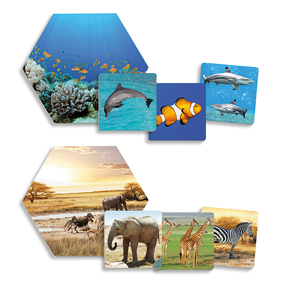 Kde žijú zvieratá 