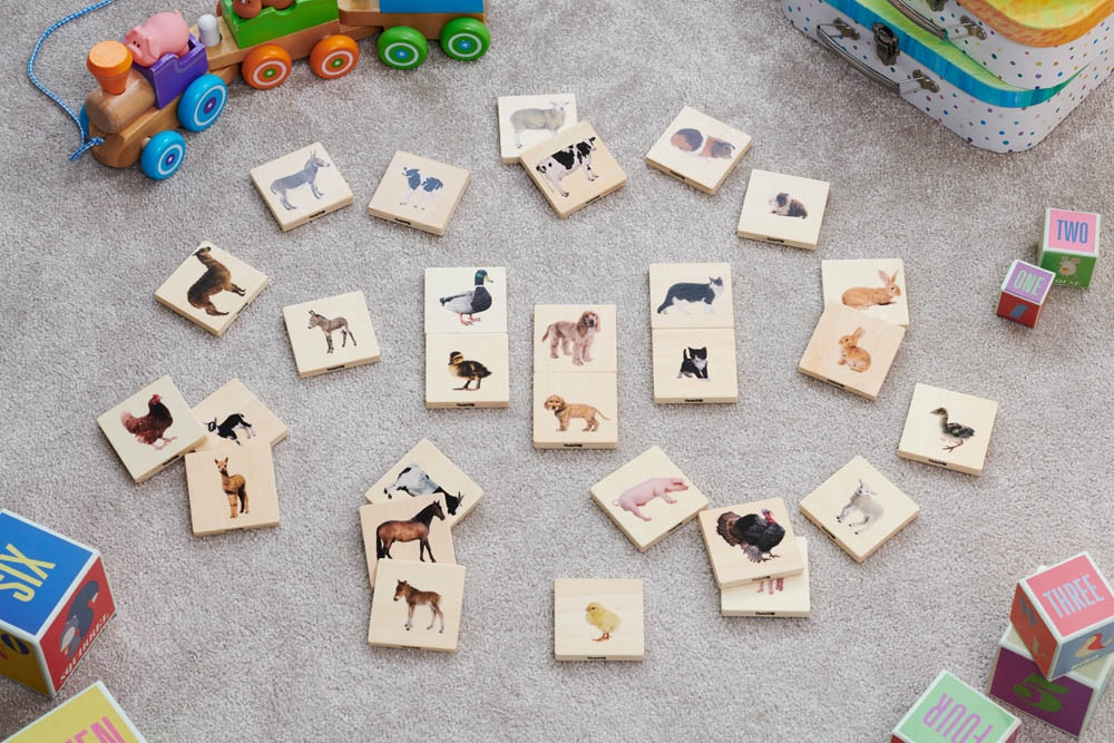 Drevený set - protiklady domácich zvierat