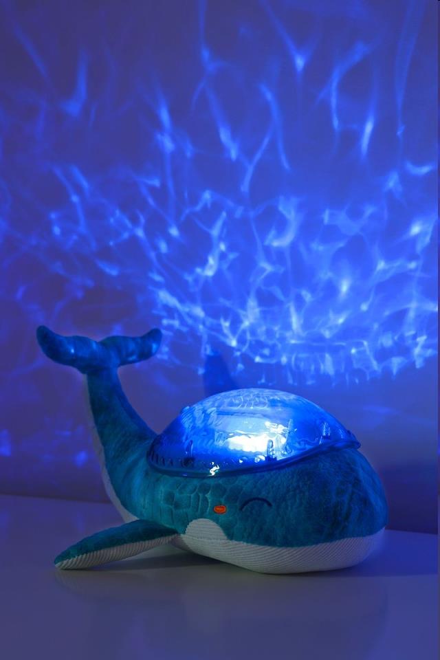 Projektor - Rodina veľrýb