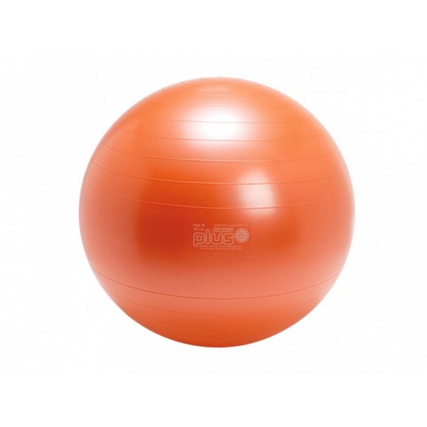 Fitlopta Gymnic Plus - 65 cm