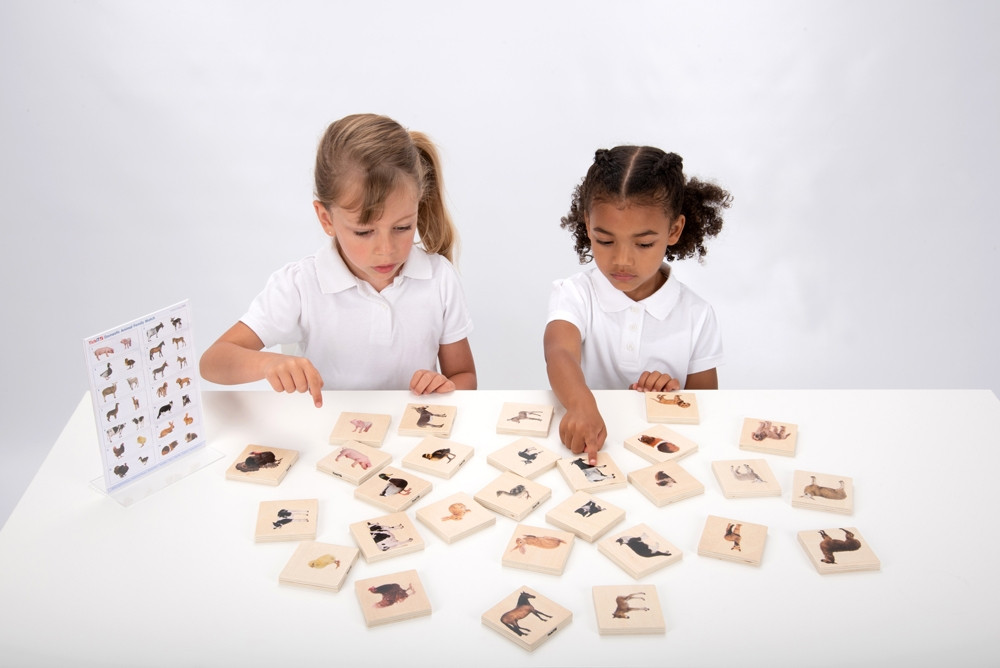 Drevený set - protiklady domácich zvierat