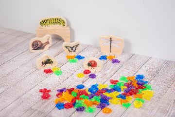 Priehľadný set hmyzov