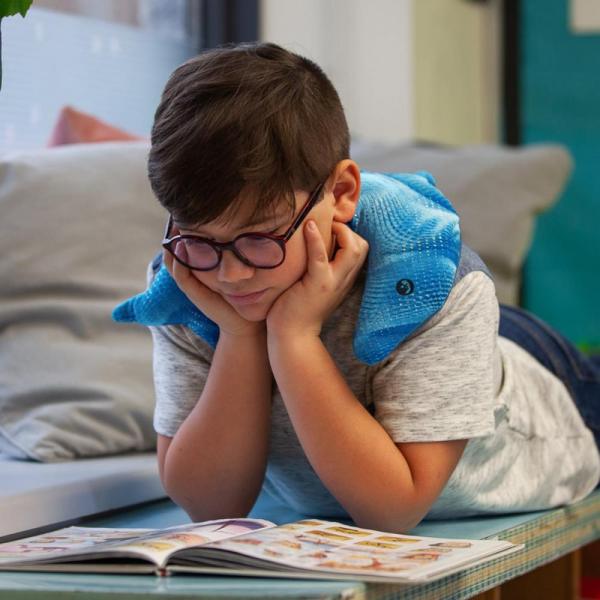 Záťažový delfín Manimo - 1 kg