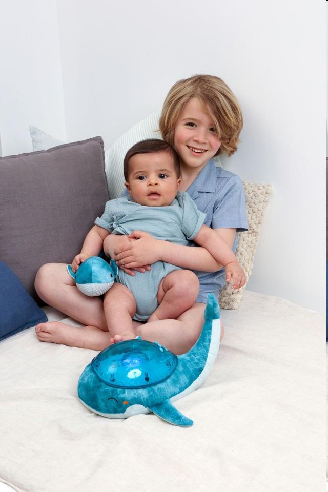 Projektor - Rodina veľrýb