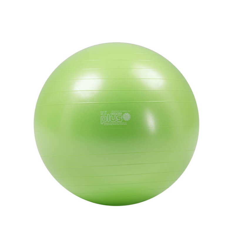 Fitlopta Gymnic Plus - 65 cm