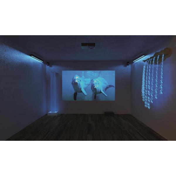 Sense systém s projektorom