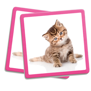 MAXI Pexeso Zvieratá 