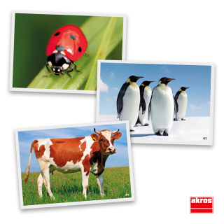 Kartičky zvieratá 16x16cm