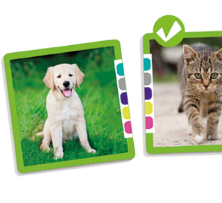 Čo majú spoločné? (9x9cm)