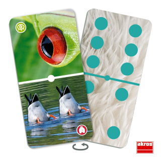 Domino - Zoom zvierat