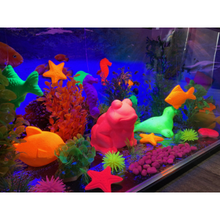 ČAROVNÉ AKVÁRIUM