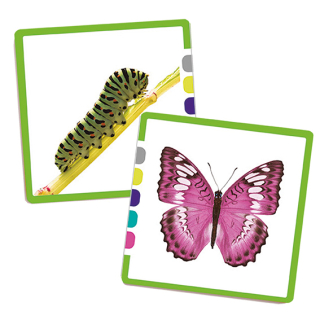 Asociácia - čo je spoločné