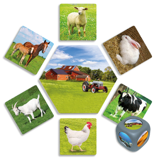 Kde žijú zvieratá 