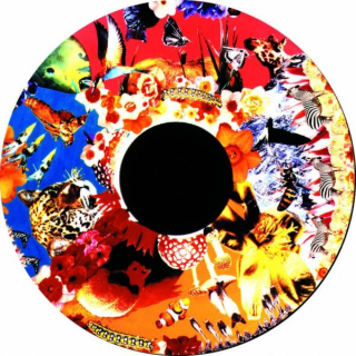 Obrázkový kotúč - safari