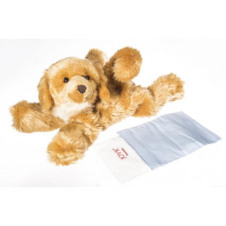 Terapeutický psík JOYK