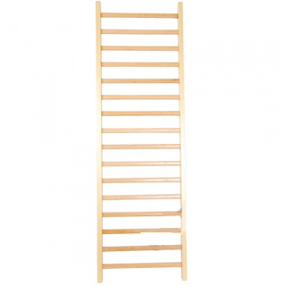 Malá gymnastická rebrina